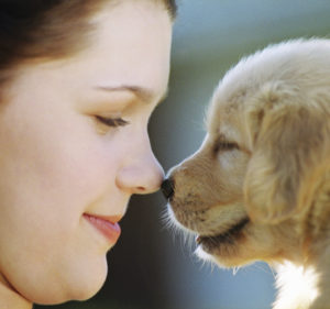 can dogs sense human emotions